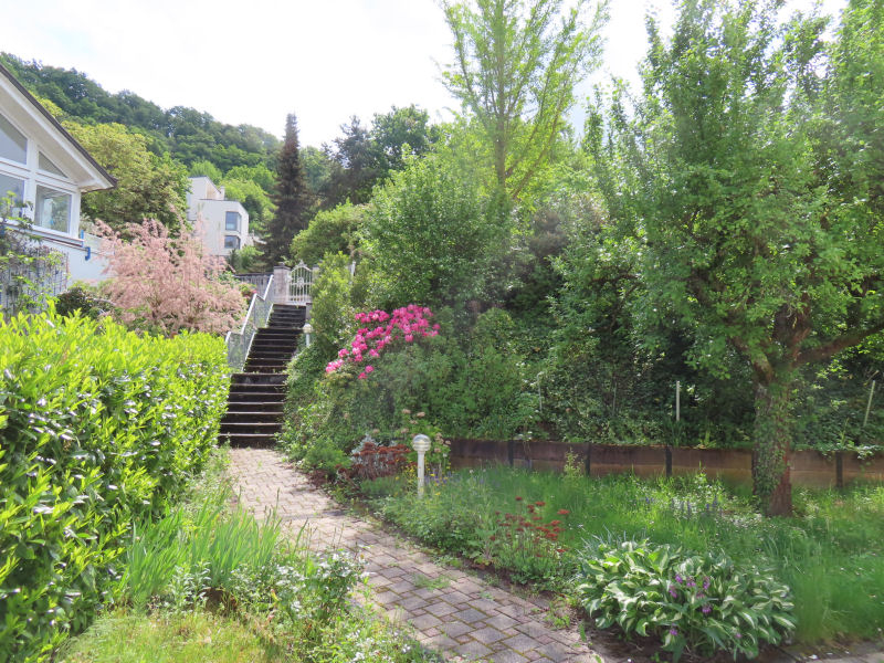 Bild - 34